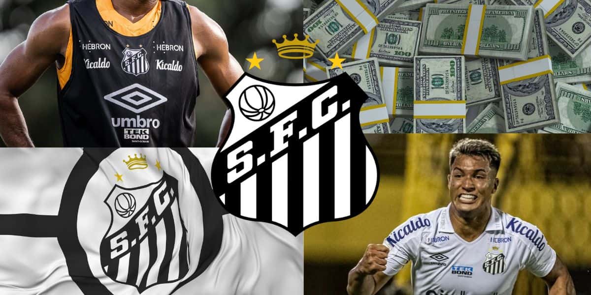 Santos - (Montagem Tv Foco)