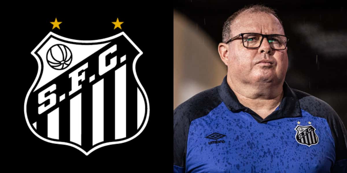 Marcelo Fernandes é técnico do Santos (Foto: Divulgação)