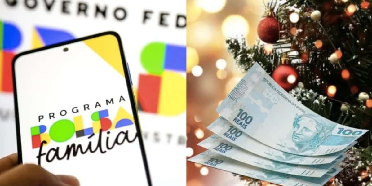 Aplicativo do Bolsa Família e árvore de natal (Foto: Reprodução / Internet)