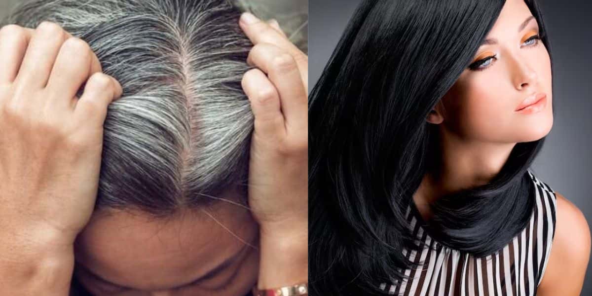 Mulher com cabelos grisalhos / Mulher com cabelos pretos - Montagem TVFOCO