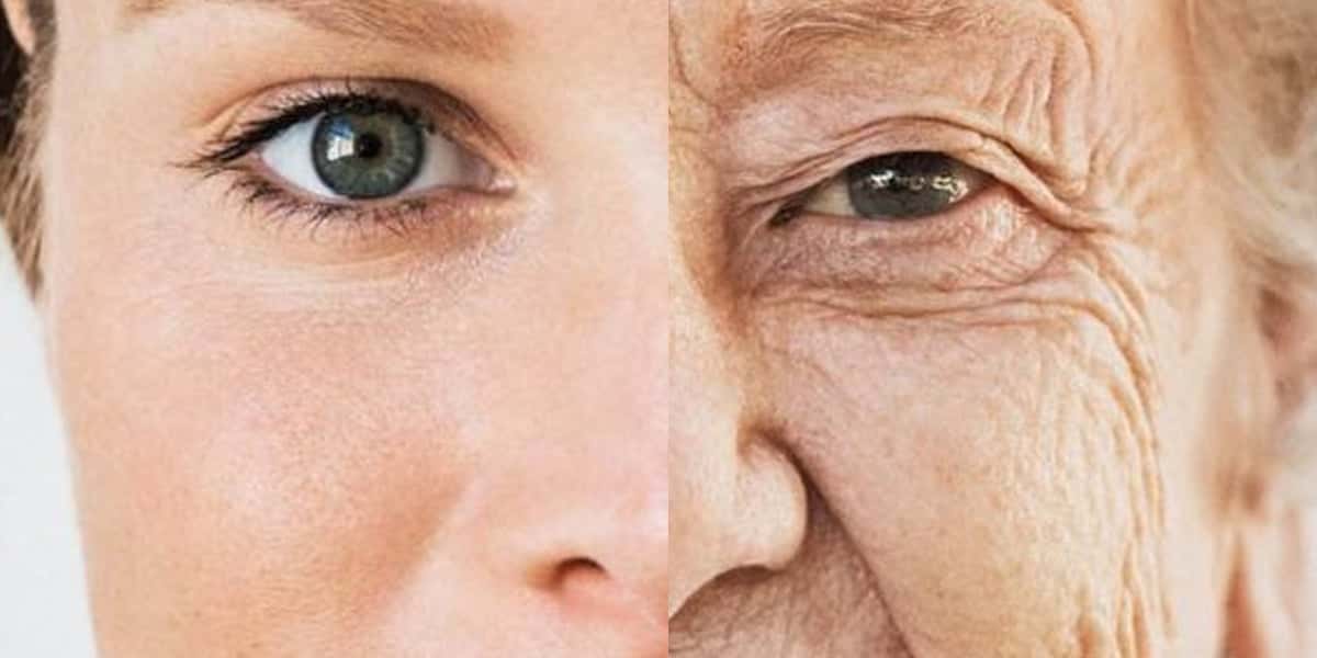 Mulher com e sem rugas (Foto: Reprodução, BBC)