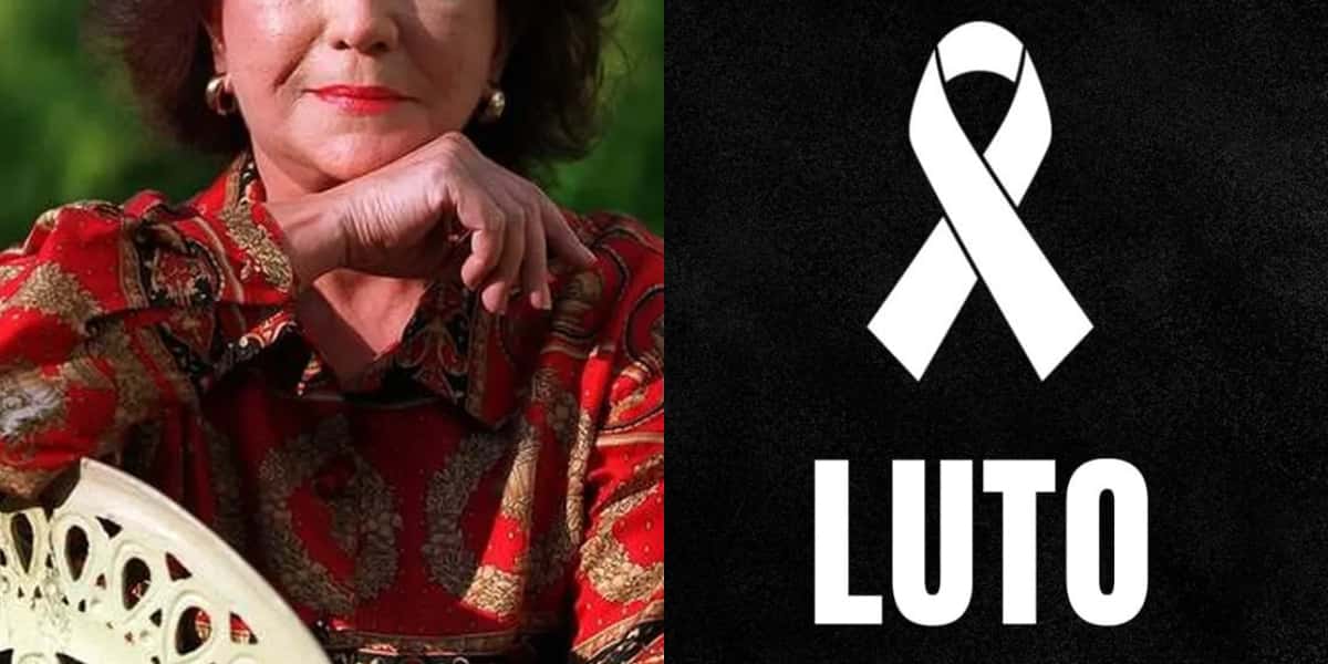 Lolita Rodrigues foi uma grande atriz da Globo (Foto: Divulgação)