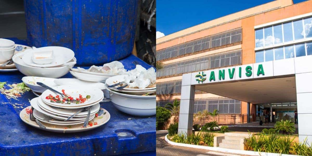Anvisa e interdição de restaurante (Reprodução/Montagem TV Foco)