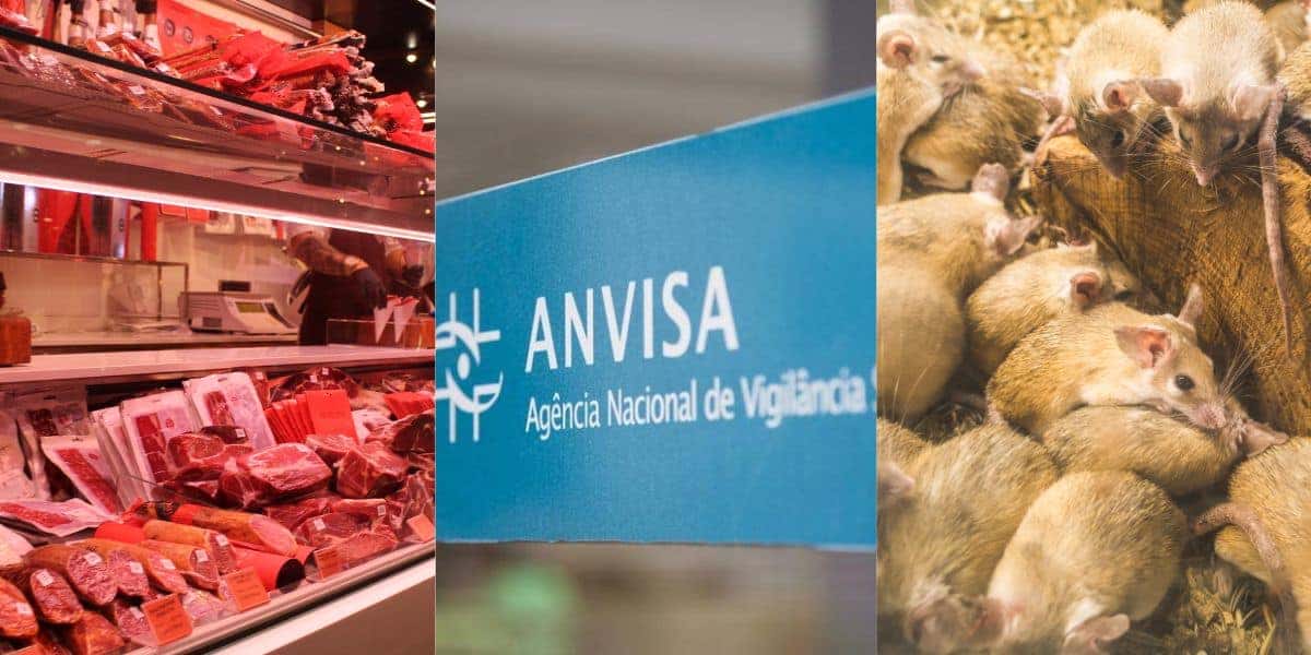 Açougue / Logo Anvisa / Foto de ratos - Montagem Canva