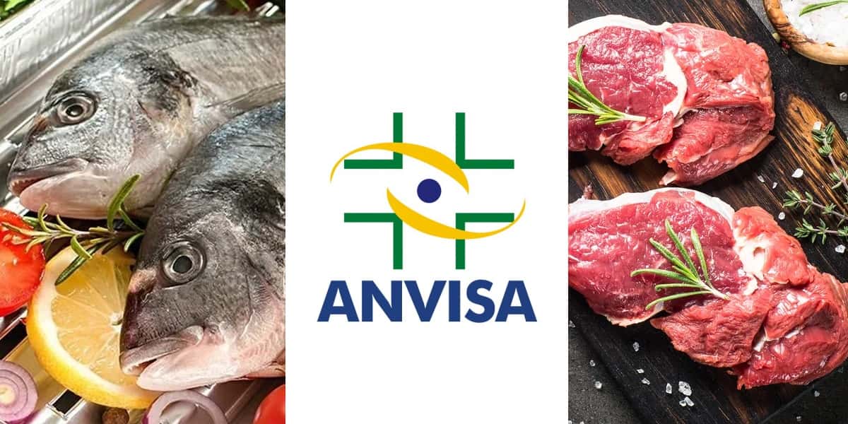 Anvisa - Peixe e Carne (Foto: Reprodução, Montagem - TV Foco)