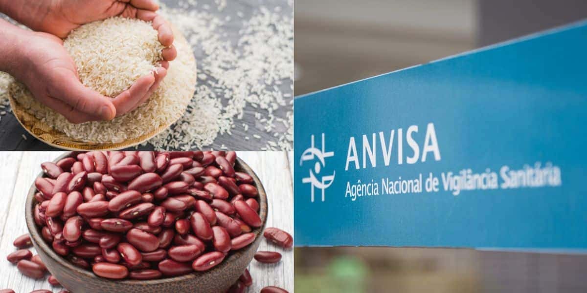 Arroz / Feijão / Anvisa - Montagem TVFOCO
