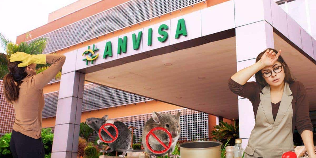 Logo da Anvisa e donas de casa - Foto Reprodução Internet