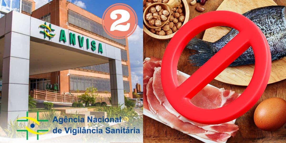 Anvisa e marcas de carnes (Foto: Reprodução / Canva)
