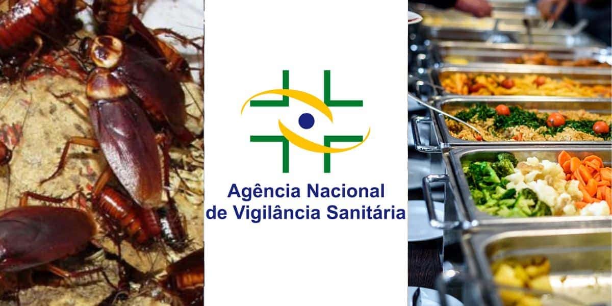 Baratas, comida estragada e mais: Anvisa interdita quatro restaurantes populares (Foto: Internet)