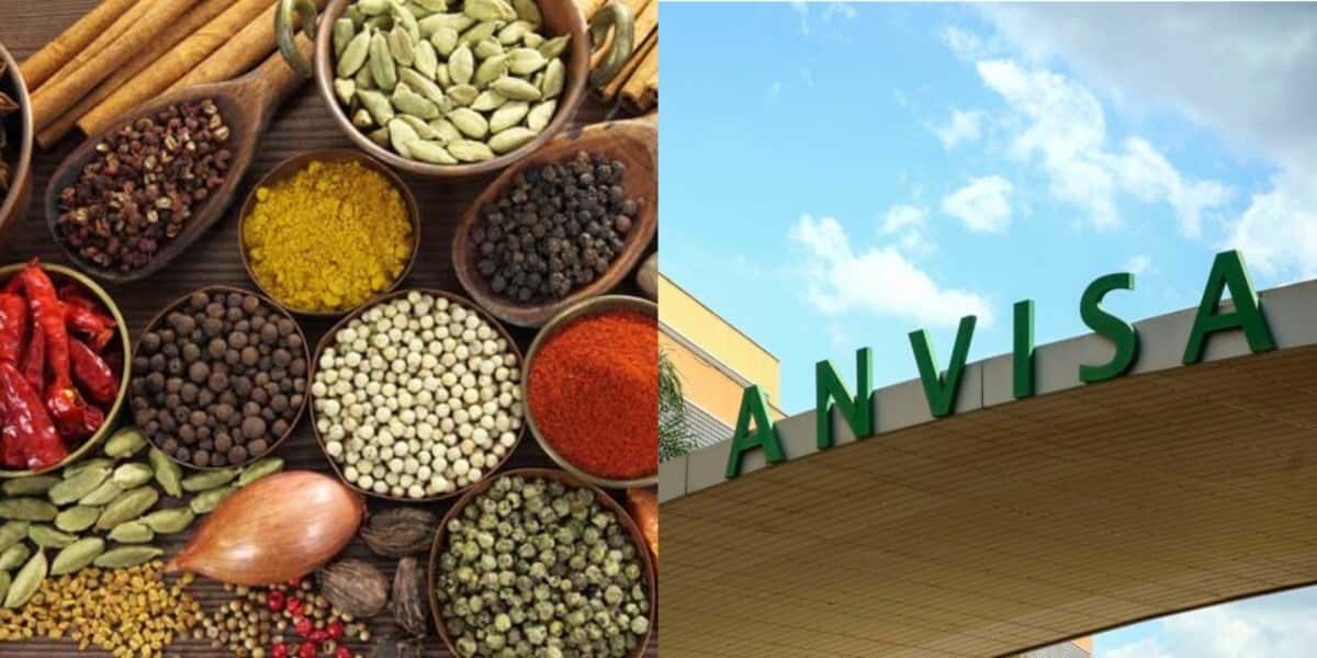 Anvisa fez proibição contra o uso de tempero popular de uma famosa marca (Foto: Reprodução/ Internet)
