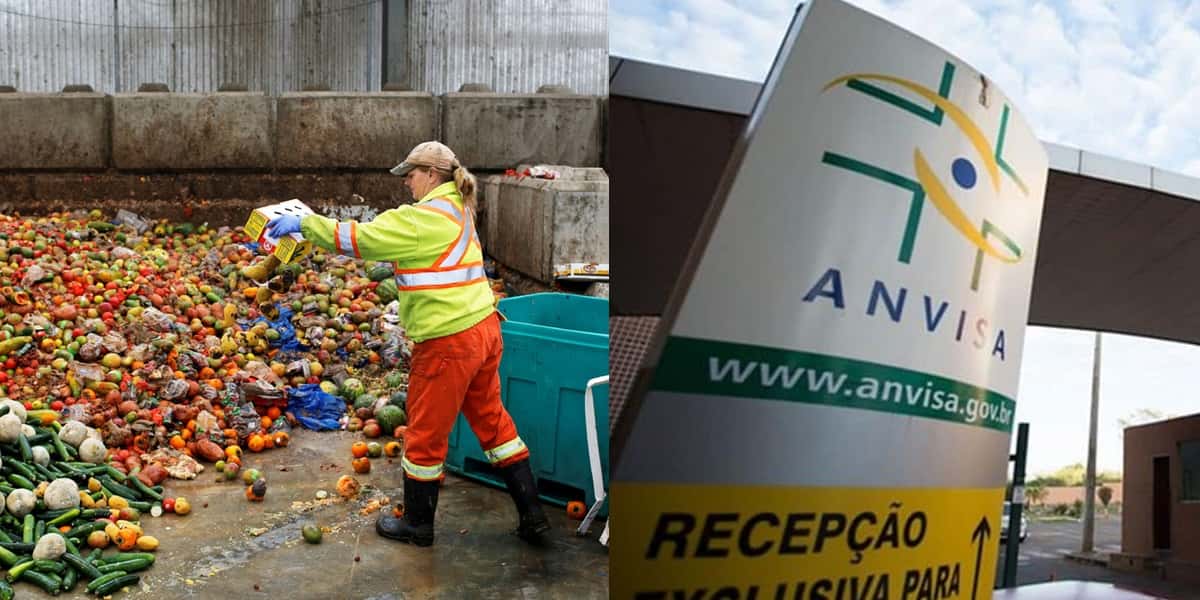 ANVISA- Comida no lixo (Foto: Reprodução - Mother Jones, Montagem - TV Foco)