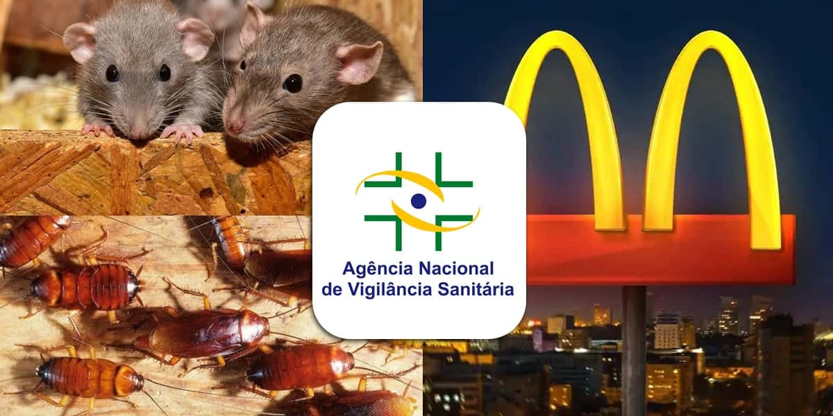Anvisa- Ratos, baratas, McDonald's (Foto: Reprodução, Montagem - TV Foco)