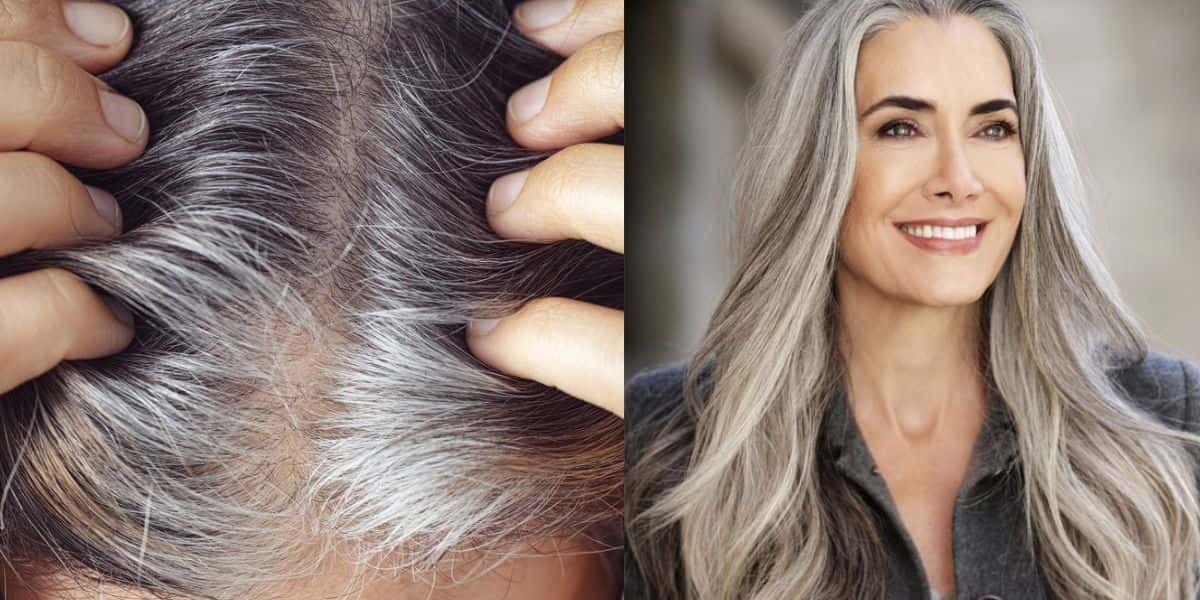 Mulher com cabelos grisalhos - Montagem TVFOCO
