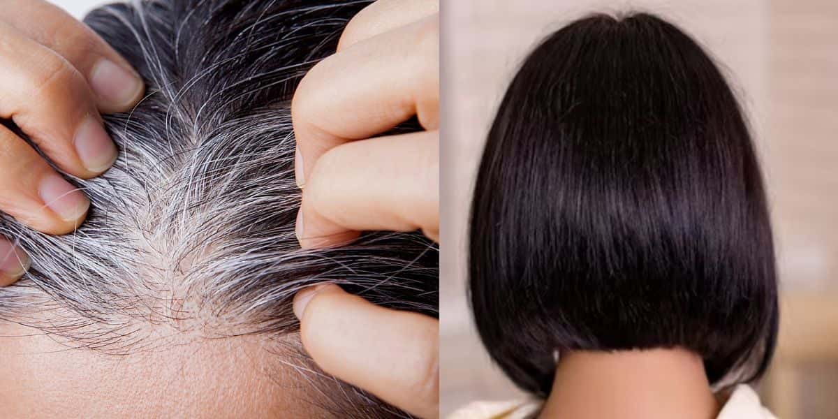 Raiz de cabelo branca e mulher com cabelo preto (Fotos: Reproduções / Freepik / Montagem)