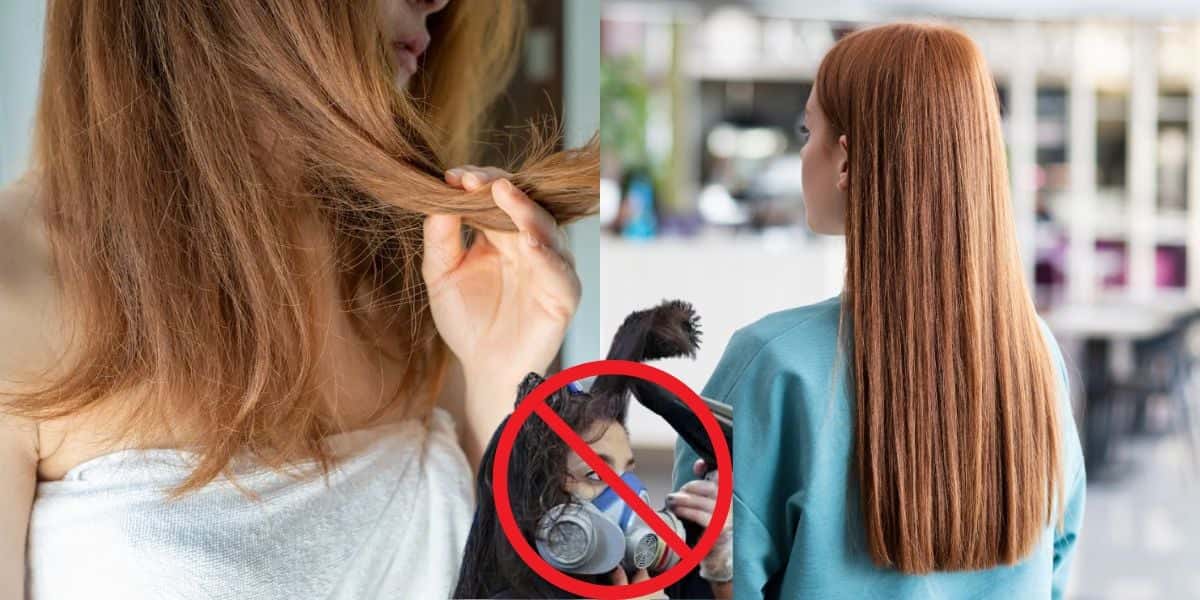 Cabelo fica liso com progressivas sem a presença de formol (Reprodução: Montagem TV Foco)