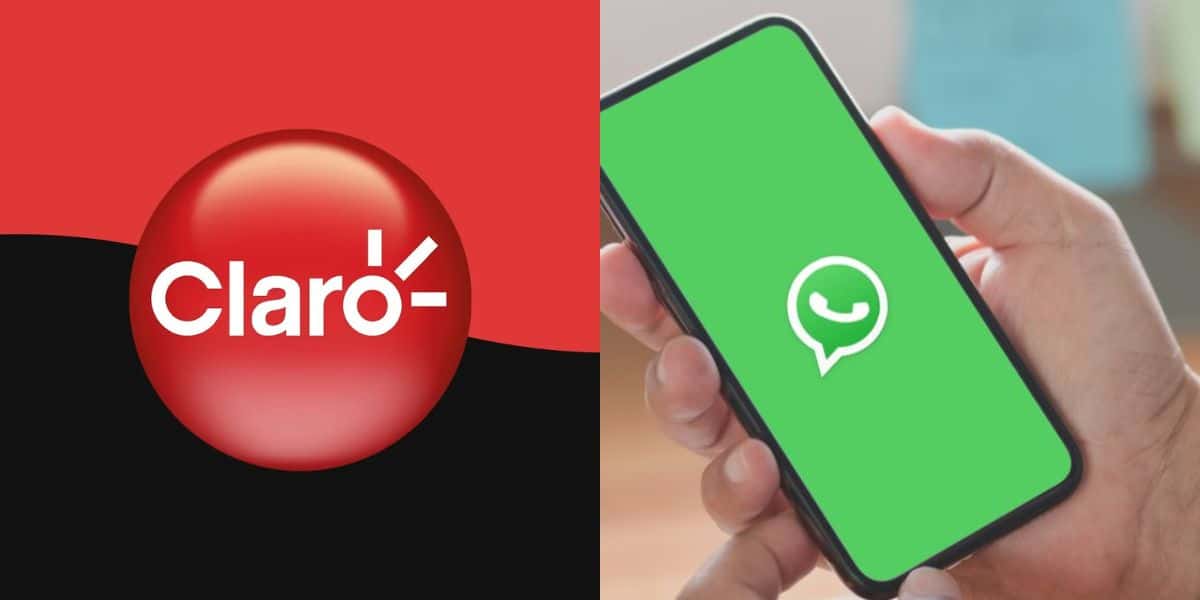 WhatsApp pode passar a consumir pacote de dados (Foto: Divulgação)