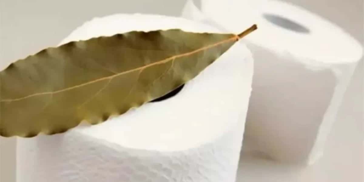 Folhas de louro no papel higiênico (Foto: Reprodução/ Internet)