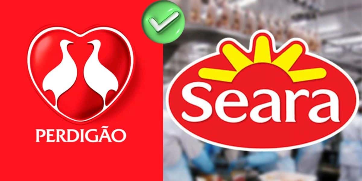 Logo da Perdigão e Seara (Foto: Reprodução / Canva)