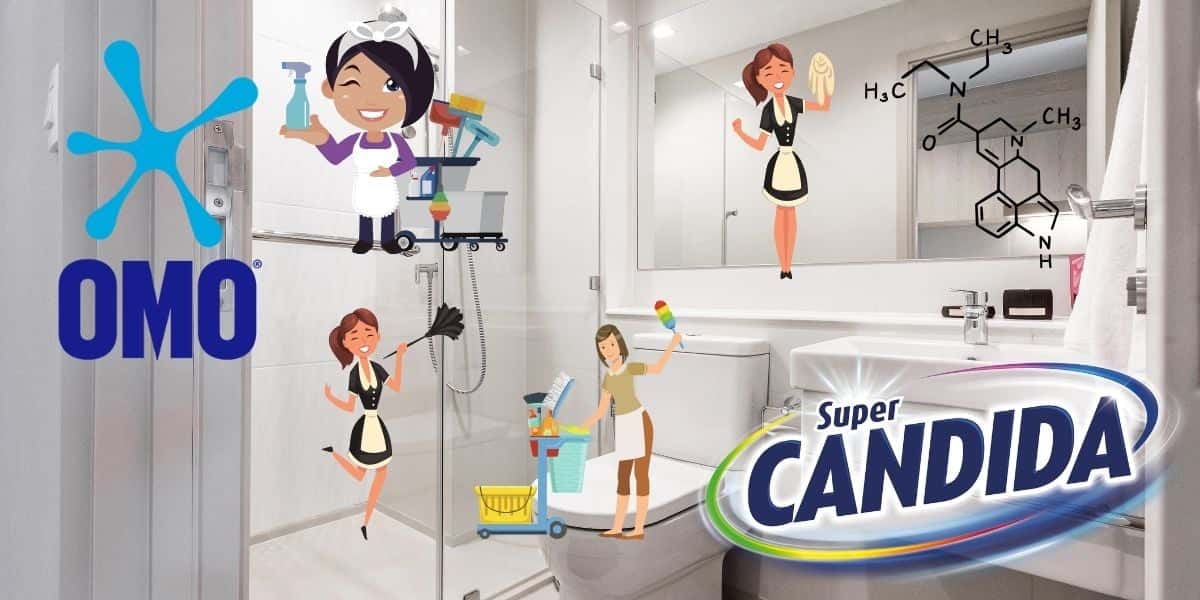 Candida, Omo, limpa banheiro, empregada (Reprodução - Internet)