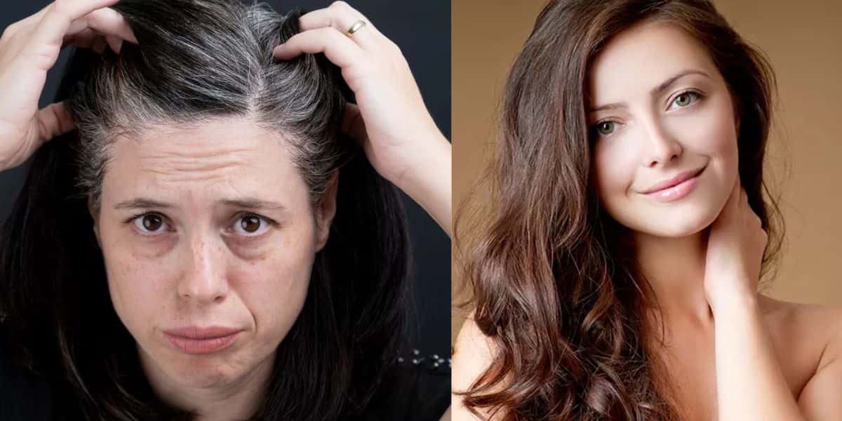 Mulher com cabelos brancos / Mulher com cabelos castanhos - Montagem TVFOCO