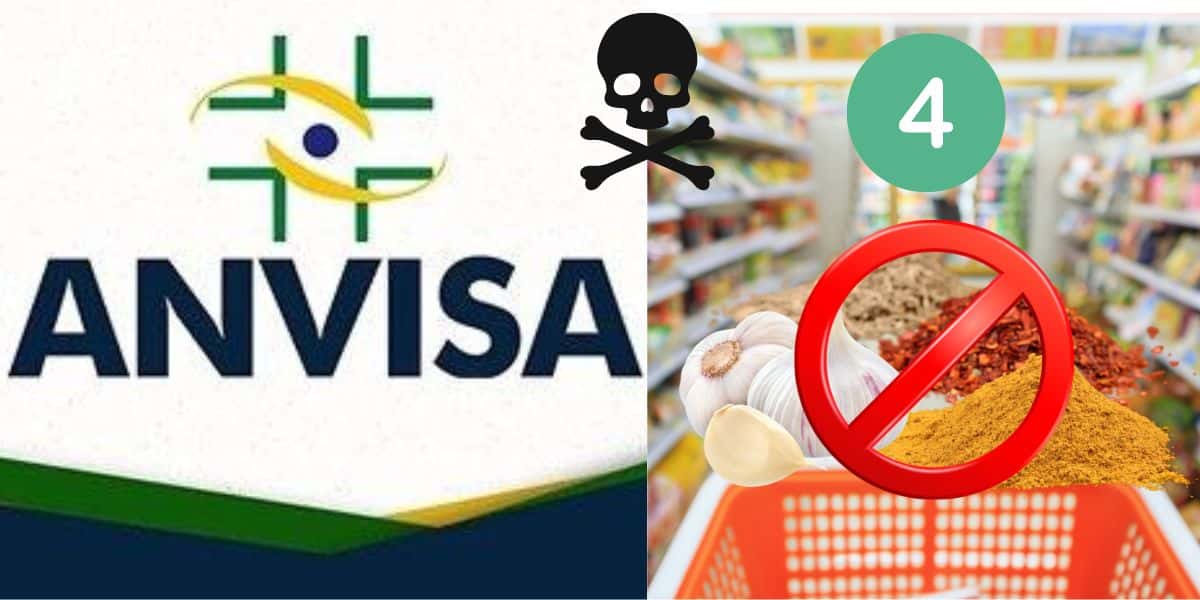 Anvisa e marca de temperos (Foto: Reprodução / Canva)