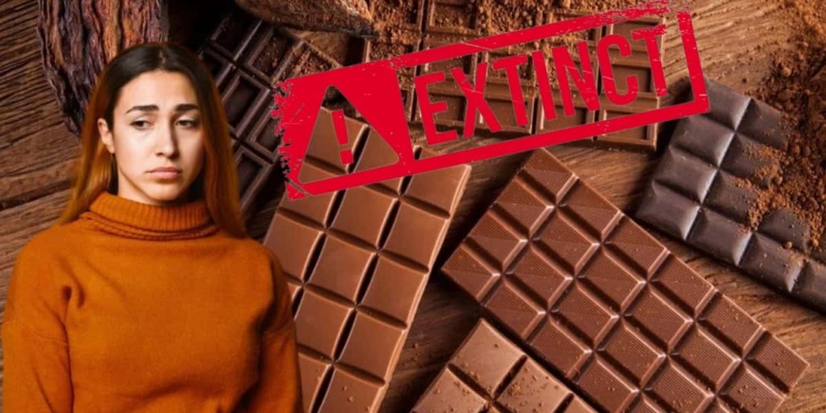 5 chocolates famosos e populares foram arrancadas dos mercados (Foto Reprodução/ Montagem - TV Foco)
