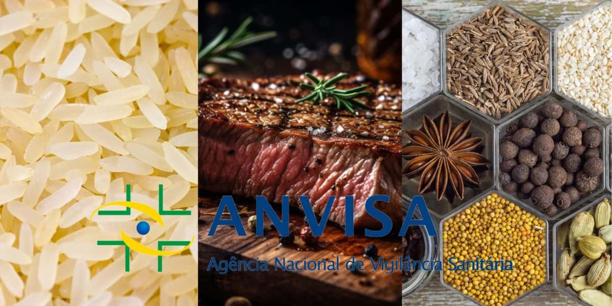 Arroz, Carne , temperos e Anvisa (Reprodução - Internet)