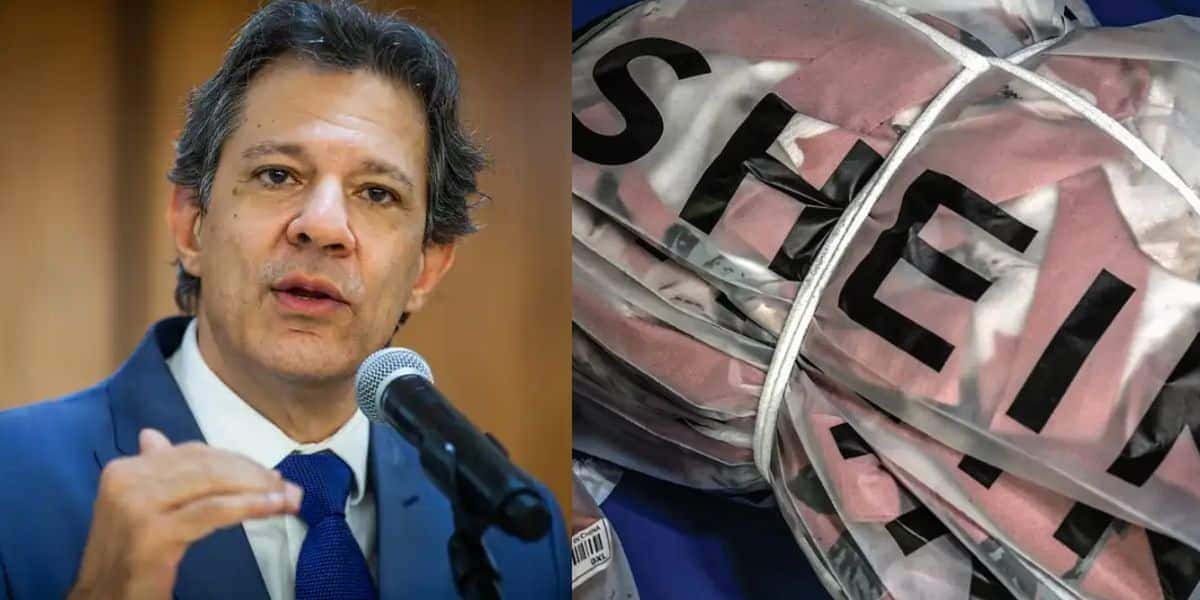 Fernando Haddad / Shein - Montagem TVFOCO