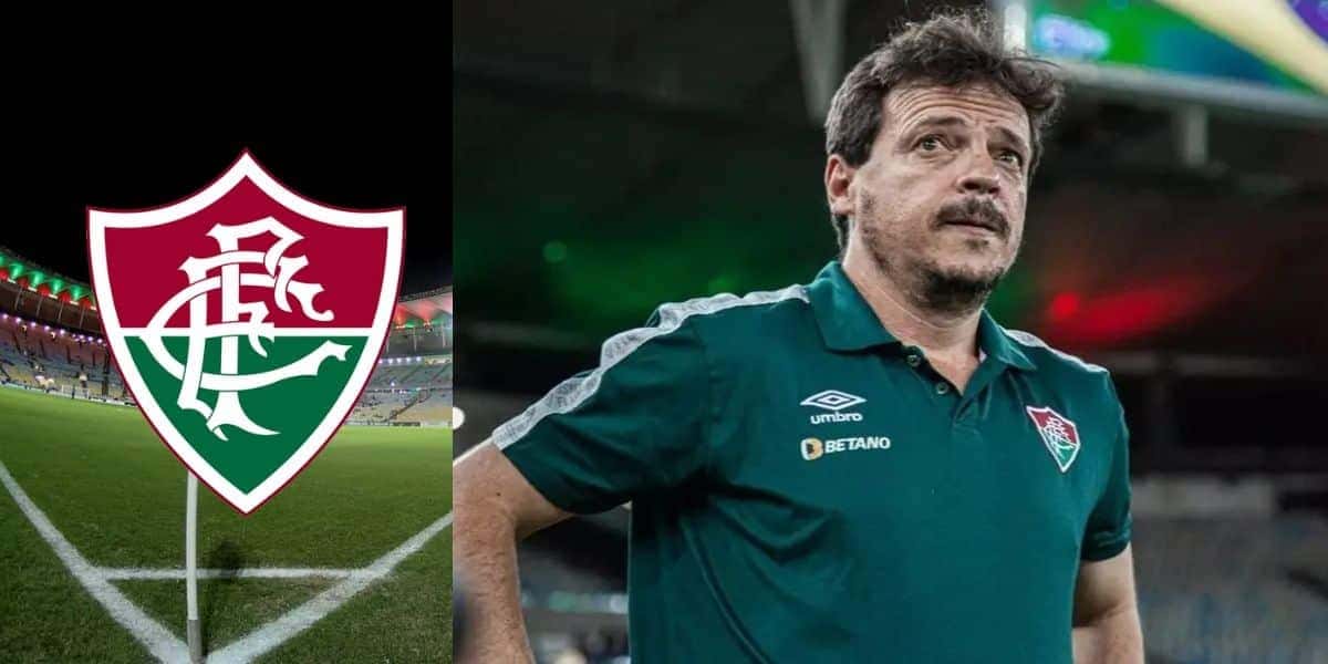 Diniz e escudo do Fluminense (Foto: Reprodução/Internet)