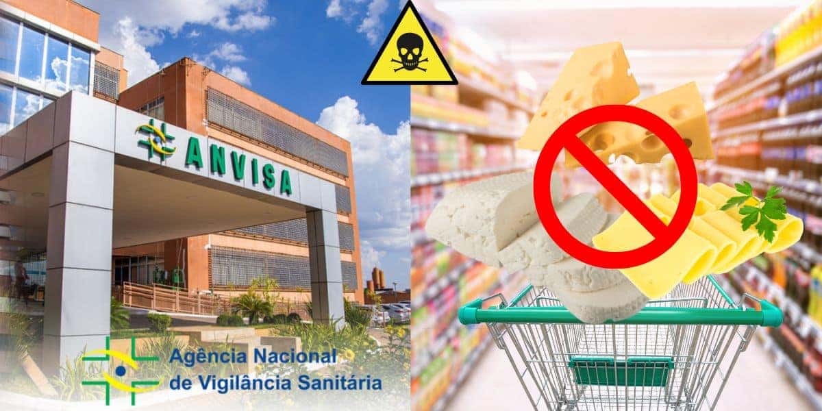 Anvisa e 3 marcas de queijos (Foto: Reprodução / Canva / Montagem TV Foco)