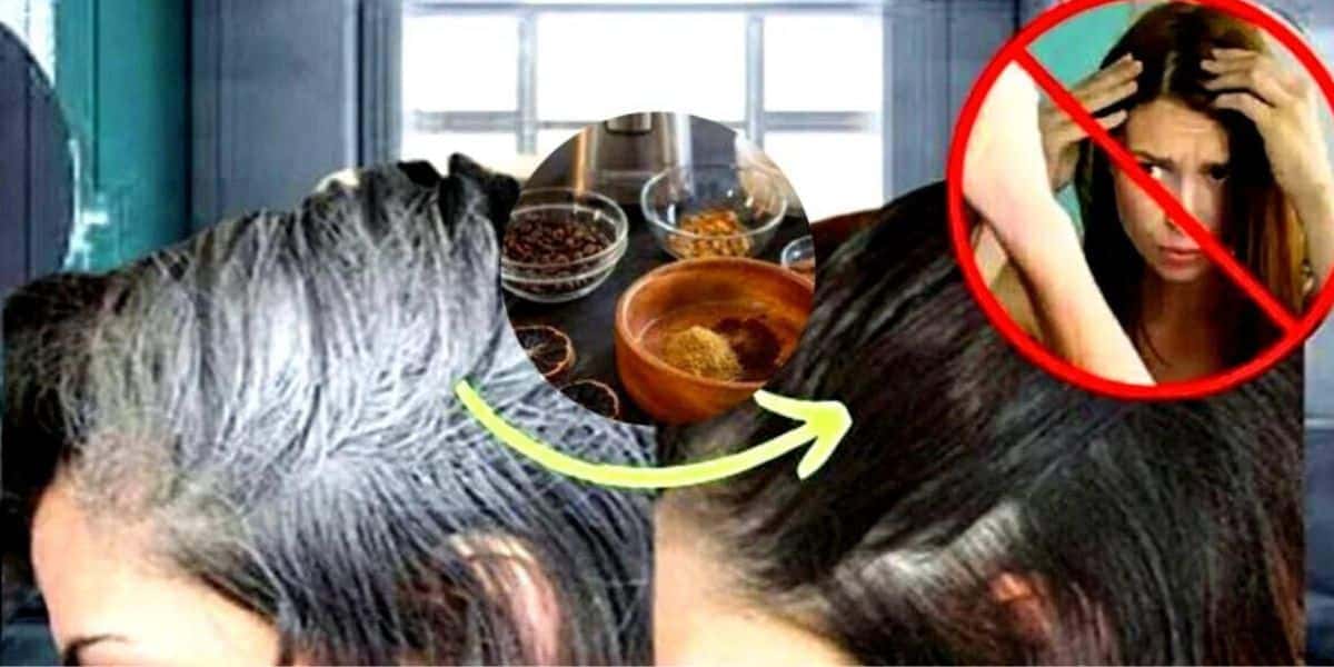 Cabelo brancos podem ser eliminados com o uso de 4 chás naturais (Foto Reprodução/Montagem/Lennita/Tv Foco/Freepik/Canva)