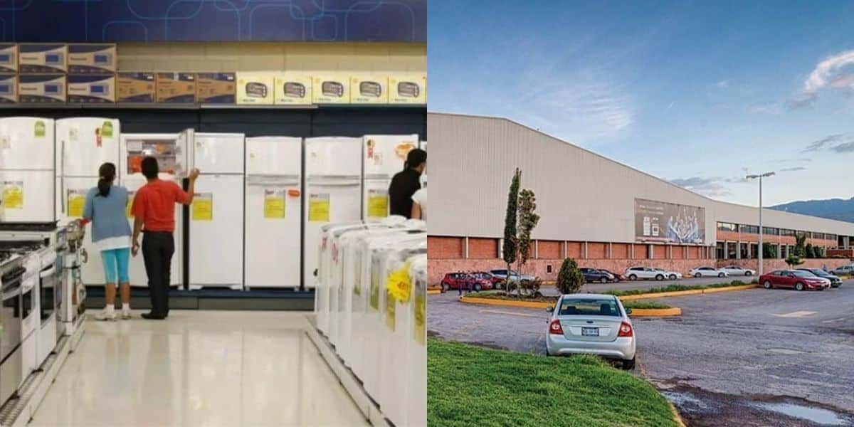 Empresa se viu obrigada a fechar as portas (Foto: Divulgação)