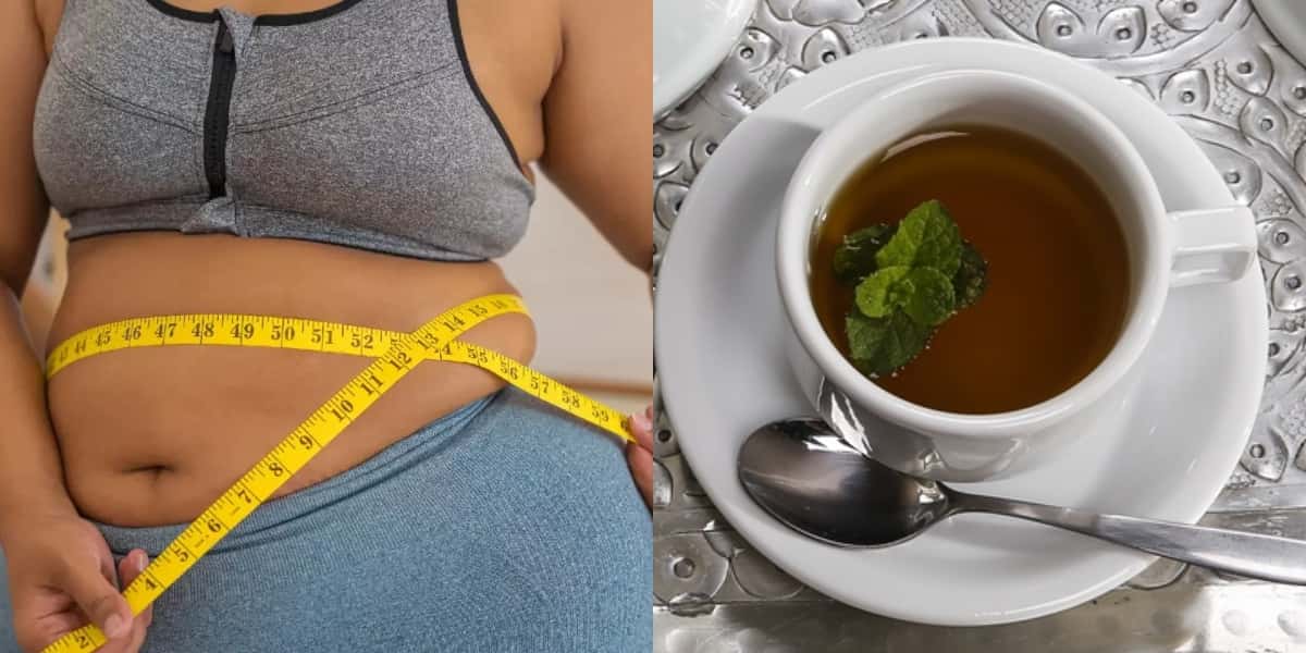 Adeus gordura com esse chá milagroso (Foto: Divulgação)