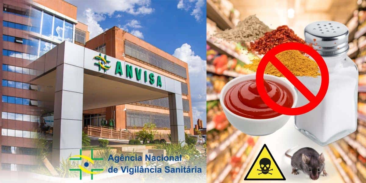 Anvisa, marca de molho, tempero e sal (Foto: Reprodução / Canva / Montagem TV Foco)
