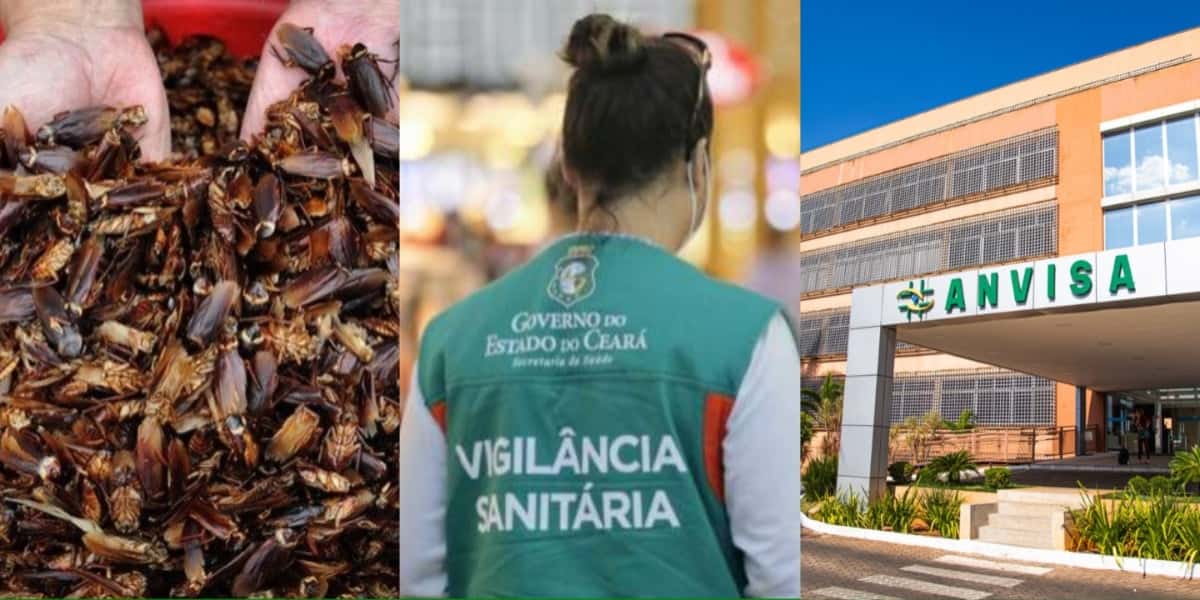 A rede Nº 1 de supermercados pega no flagra pela Vigilância - Foto: Montagem
