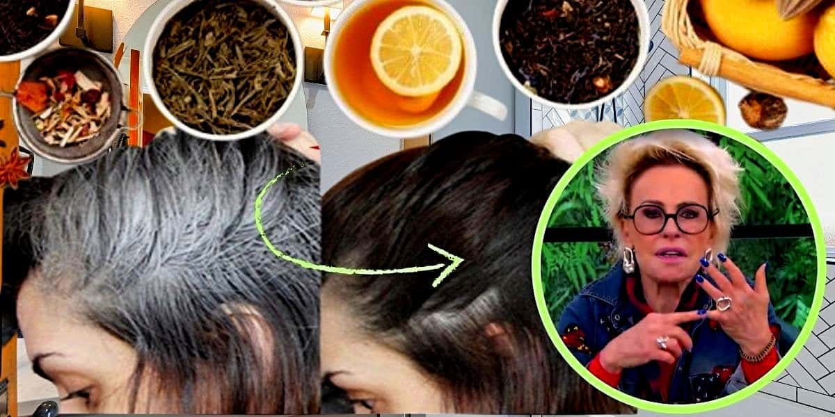 Receita caseira divulgada por Ana Maria Braga rejuvenescem os cabelos sem precisar fazer uso de tinta (Foto Reprodução/Montagem/Lennita/Tv Foco/Canva/Pinterest/Globo)