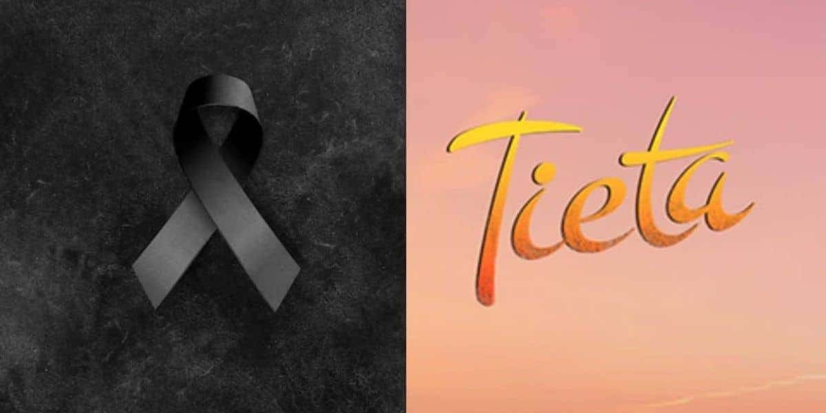 Logo da Globo / Logo de Tieta - Montagem: TVFOCO