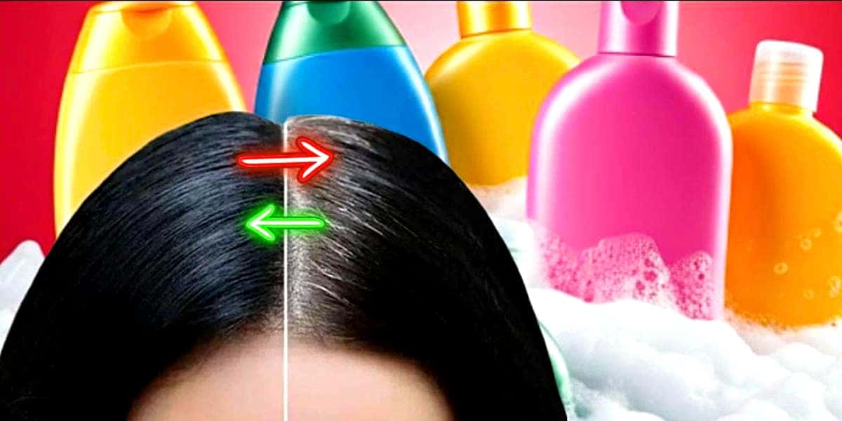 Shampoo natural ajuda a eliminar os grisalhos do cabelo de forma gradual (Foto Reprodução/Montagem/Lennita/Canva/Pinterest)