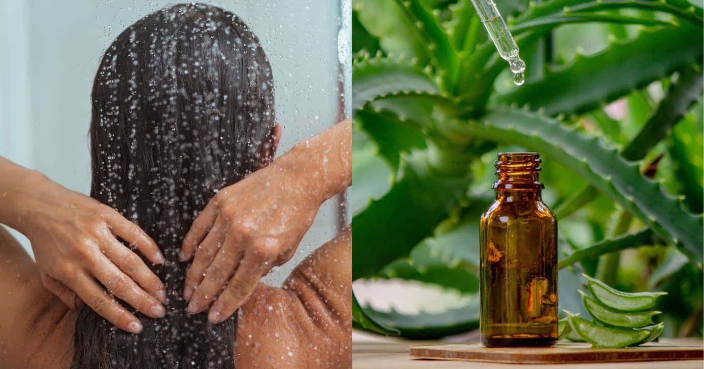 Veja como alisar o cabelo em casa (Foto: Divulgação)