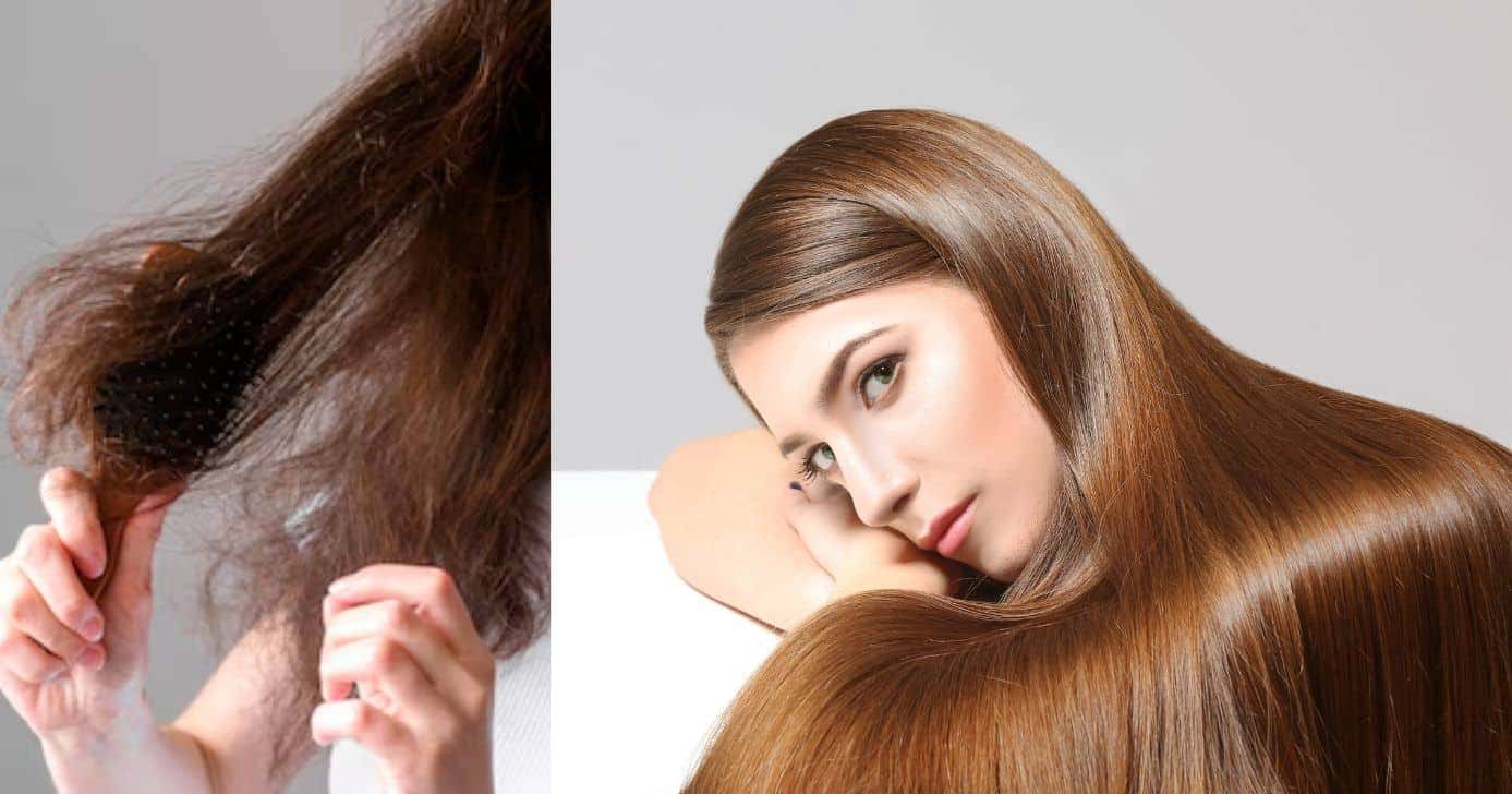 Cabelo ressecado e modelo (Fotos: Canva)