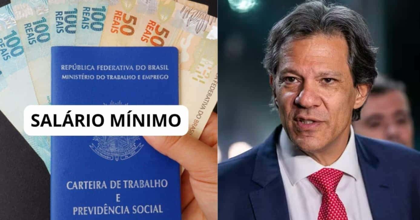 Haddad- Novo salário mínimo histórico a lista de CLTs - Foto: Internet