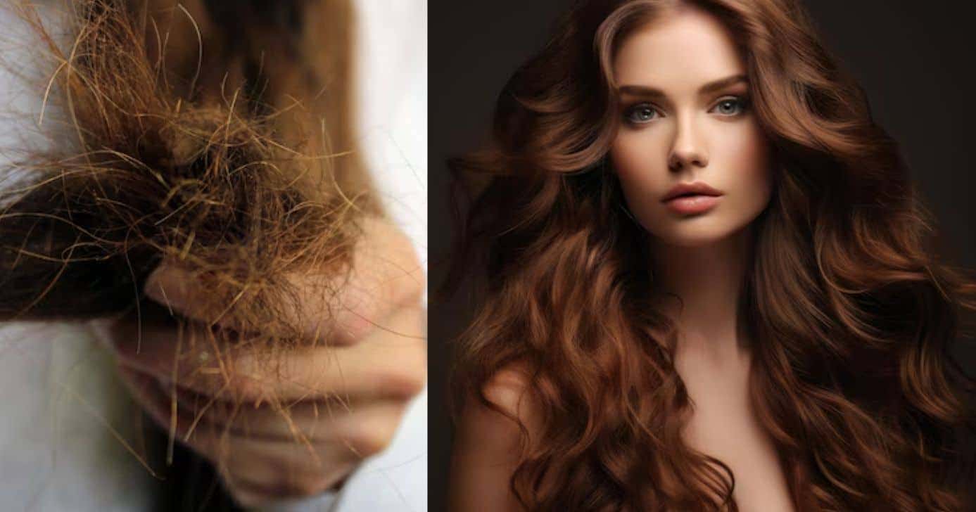 Cabelo danificado e modelo (Fotos: Freepik)