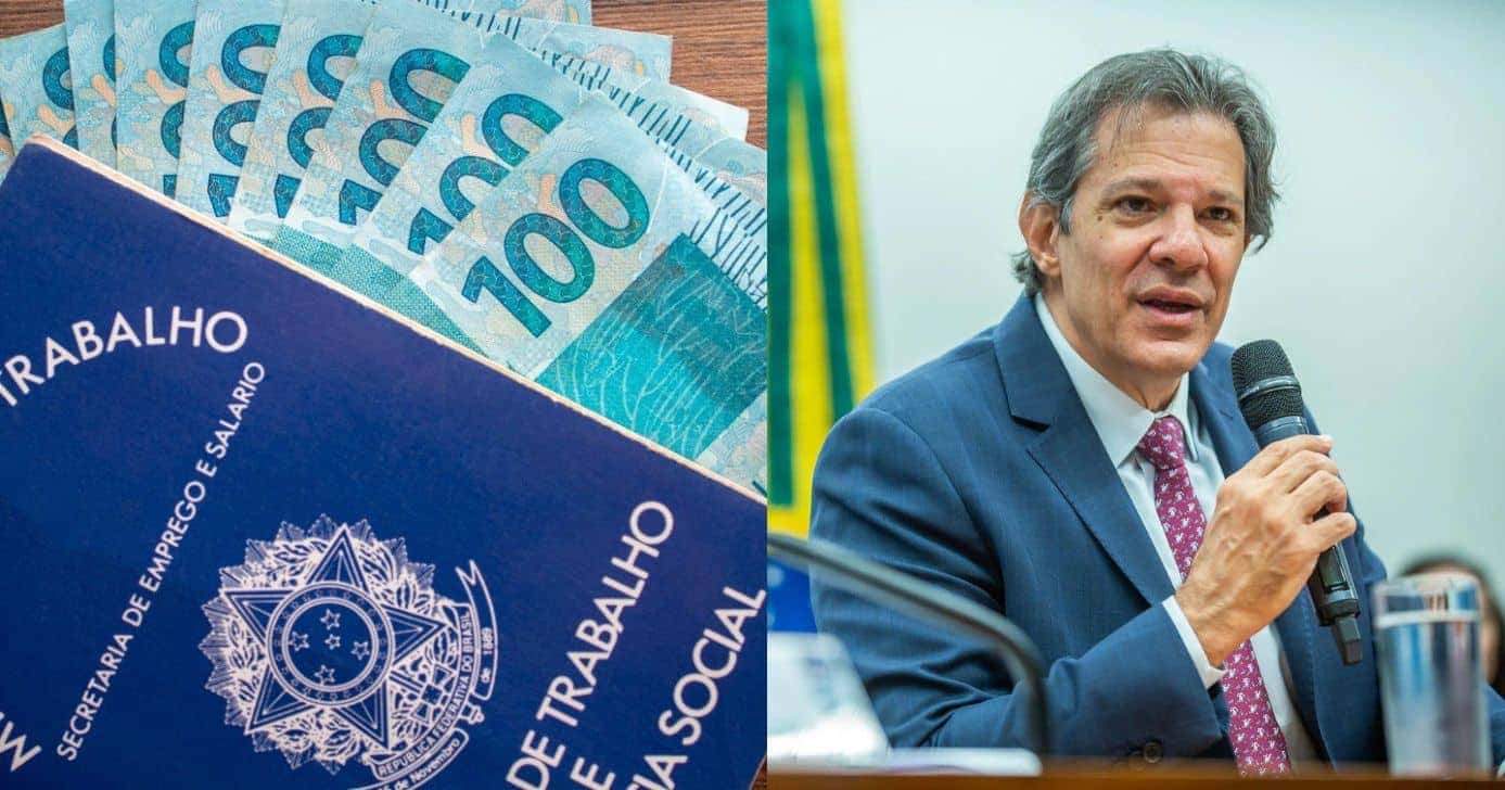 Salário mínimo e Haddad - Foto Reprodução Internet