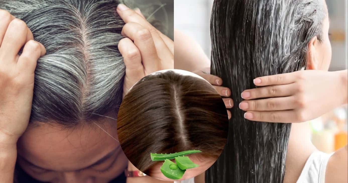 Tinta com Aloe Vera e +3 ingredientes aniquila o cabelo branco (Foto: Reprodução/ Internet)