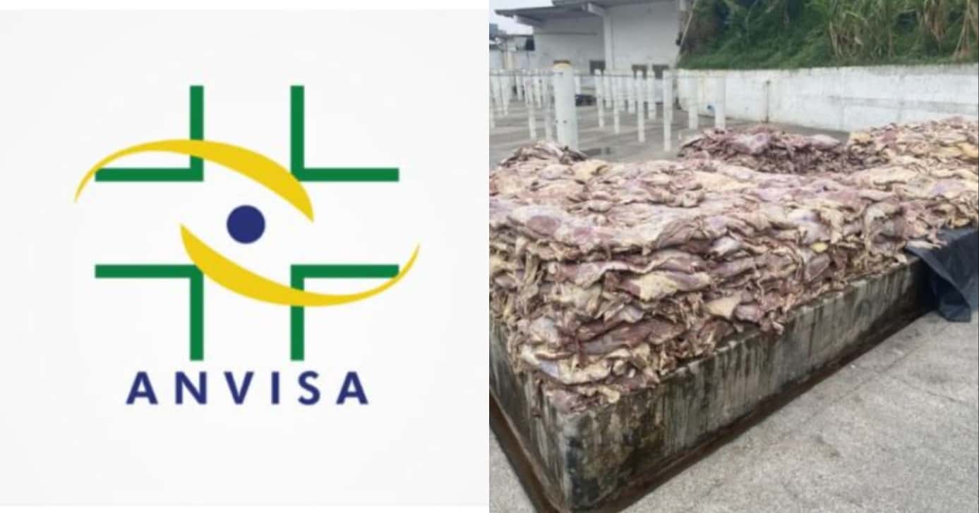 200 toneladas de carne podre: Anvisa determina interdição em SP (Foto: Montagem/TV Foco)