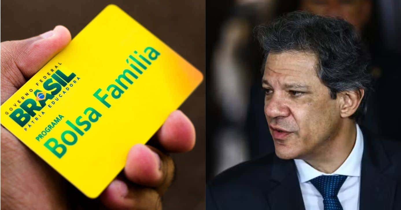 Bolsa Família / Fernando Haddad - Montagem: TVFOCO