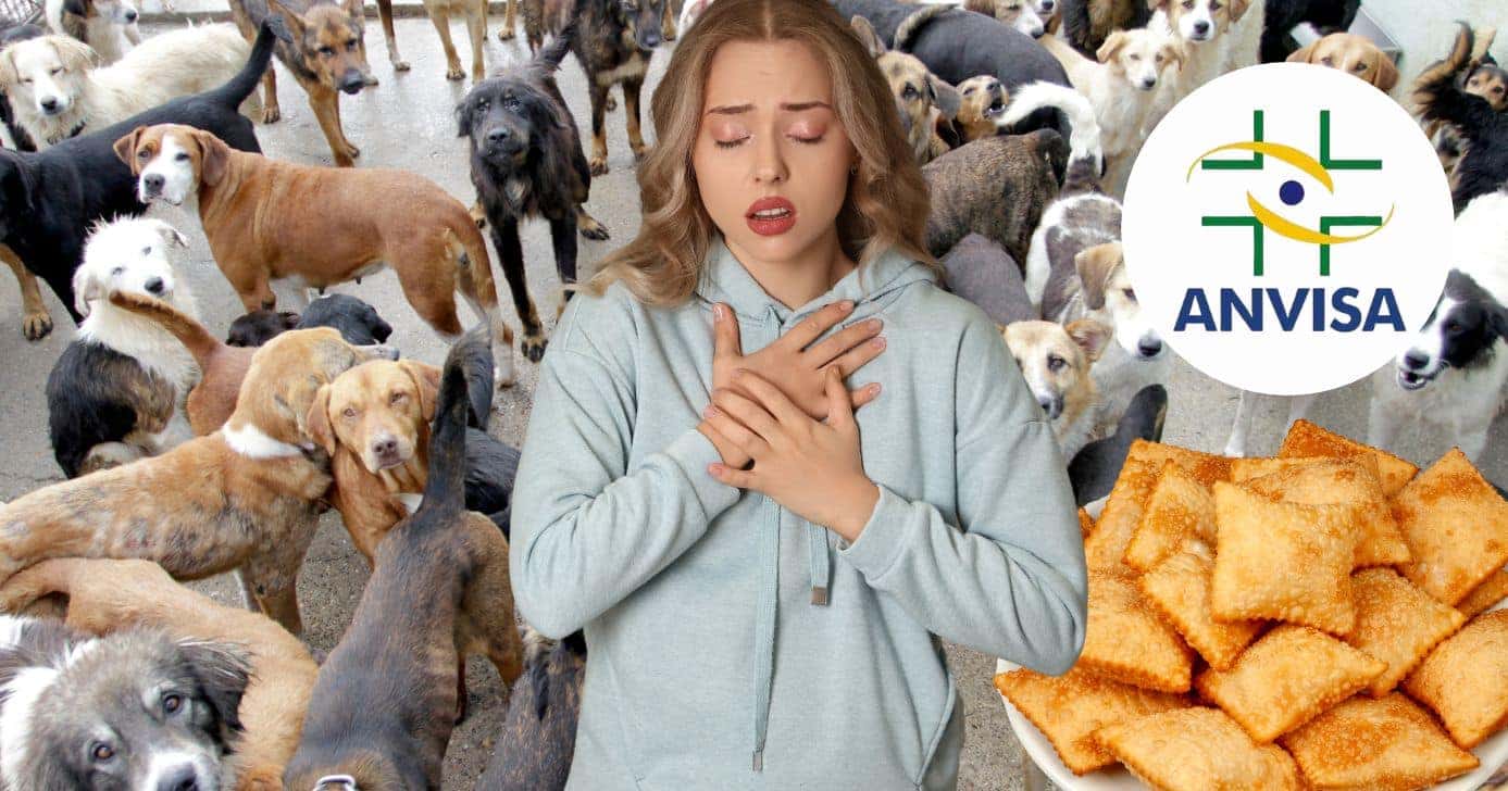 Cachorros, mulher triste, pastel e logo Anvisa (Fotos: Reproduções / Canva / Internet)
