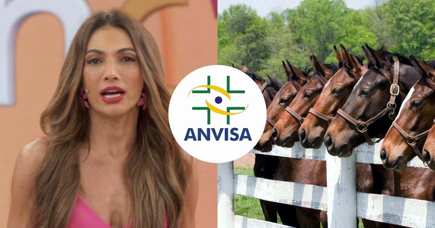 Patrícia Poeta no Encontro, logo da Anvisa e cavalos (Fotos: Reproduções / Globo / Internet / Canva)
