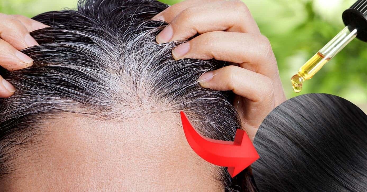 Cabelo branco, fios escuros e óleo natural (Foto: Reprodução / Canva / Montagem TV Foco)