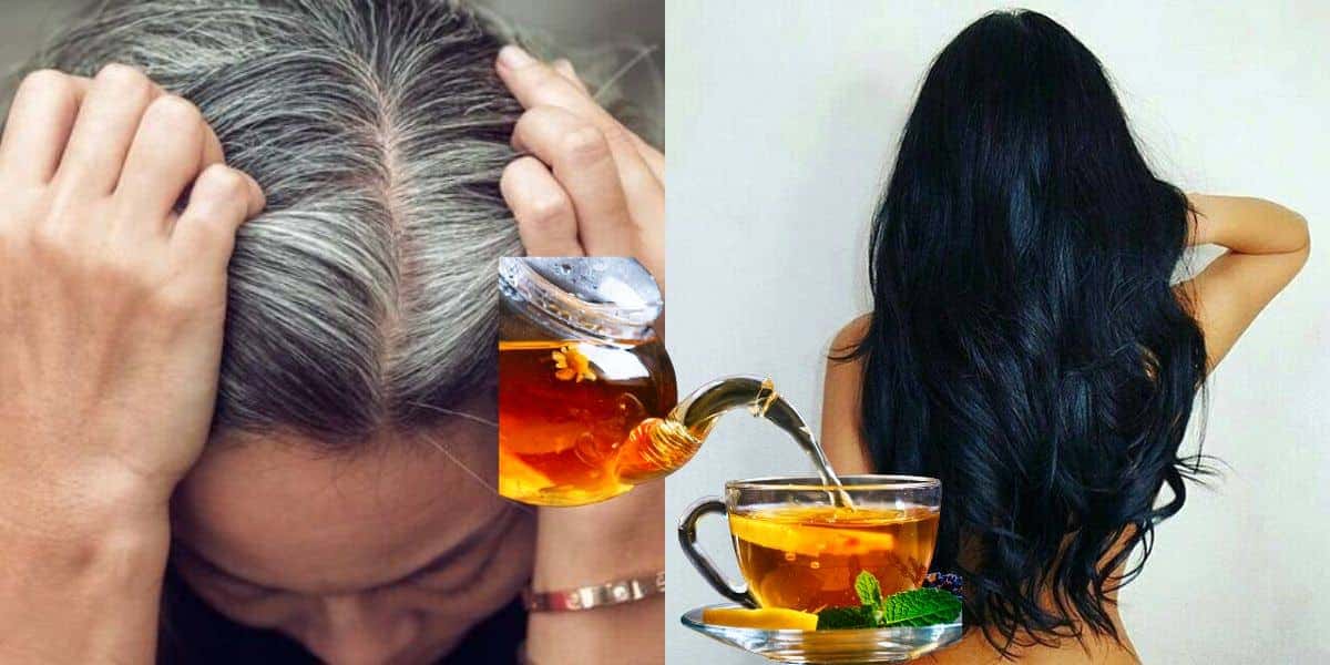 Fim do cabelo branco com chá natural (Reprodução: Montagem TV Foco)